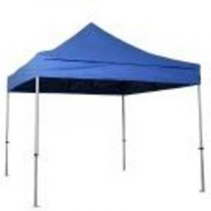 Location barnum bleu