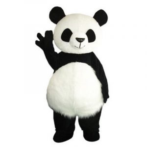Location panda
