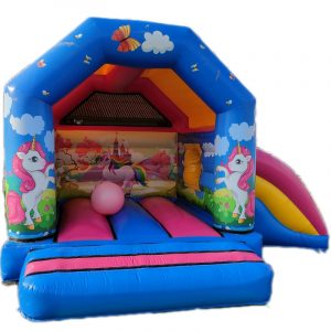 Location mini licorne